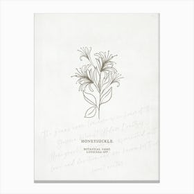 Honeysuckle Birth Flower | Antique Canvas Print