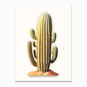 Barrel Cactus Marker Art 3 Canvas Print