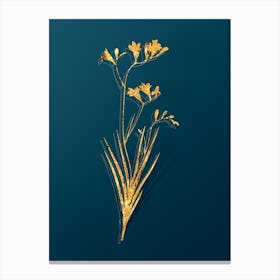 Vintage Freesia Botanical in Gold on Teal Blue n.0248 Canvas Print