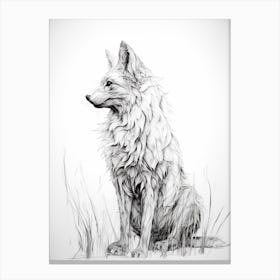 Corsac Fox Line Drawing 3 Canvas Print