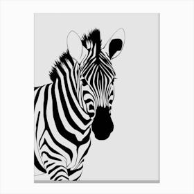 Zebra 3 Canvas Print