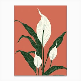 Peace Lily Plant Minimalist Illustration 3 Canvas Print
