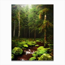 Mossy Forest 8 Canvas Print