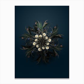 Vintage Ornithogalum Spathaceum Botanical Wreath on Teal Blue n.1069 Canvas Print