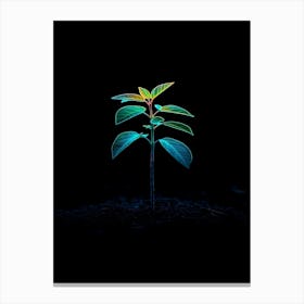 Tree In The Dark 32 Canvas Print