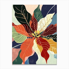 Colourful Flower Illustration Poinsettia 1 Canvas Print