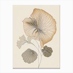 Nasturtium Leaf Earthy Line Art Canvas Print
