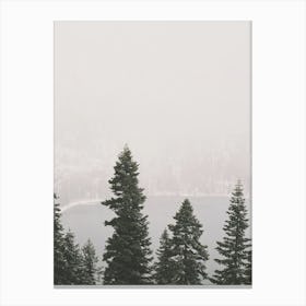 Snowy Winter Storm Canvas Print
