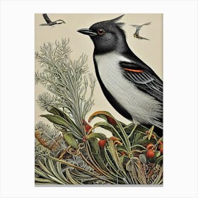 Blackbird Haeckel Style Vintage Illustration Bird Canvas Print