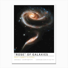 Rose Of Galaxies Canvas Print