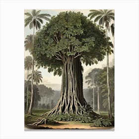 Baobab Tree Canvas Print