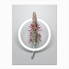 Vintage Pitcairnia Latifolia Minimalist Flower Geometric Circle on Soft Gray n.0153 Canvas Print