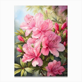 Azalea Canvas Print