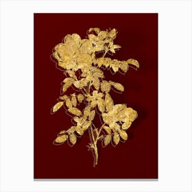Vintage Red Sweetbriar Rose Botanical in Gold on Red n.0050 Canvas Print