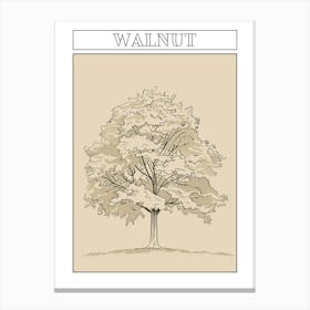 Walnut Tree Minimalistic Drawing 3 Poster Canvas Print