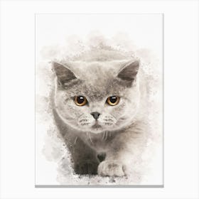British Shorthair Kitten Canvas Print