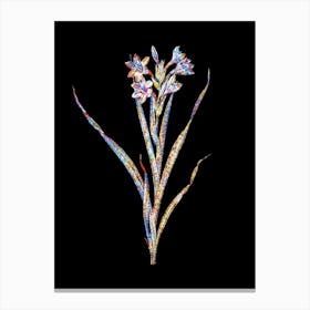 Stained Glass Sword Lily Mosaic Botanical Illustration on Black n.0088 Canvas Print