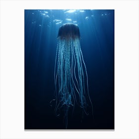Box Jellyfish Ocean Realistic 1 Canvas Print
