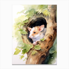 Light Watercolor Painting Of A Sleeping Possum 2 Canvas Print