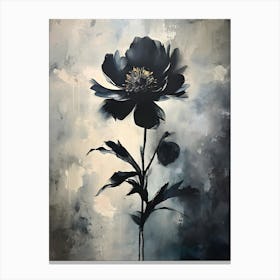 Black Peony Canvas Print