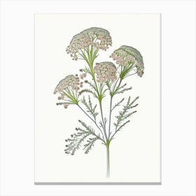 Yarrow Floral Quentin Blake Inspired Illustration 4 Flower Canvas Print