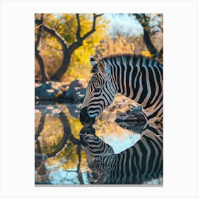 Zebra Drinking Water Canvas Print