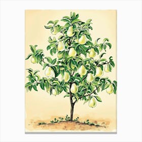 Pear Tree Storybook Illustration 3 Canvas Print