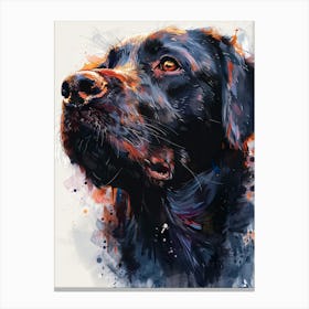 Black Labrador Canvas Print