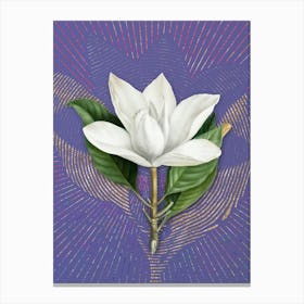 Vintage White Southern Magnolia Botanical Illustration on Veri Peri n.0144 Canvas Print