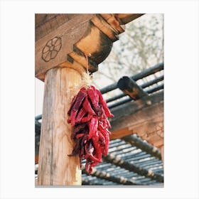 Chile Peppers Drying Canvas Print