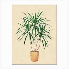 Dracaena Plant Minimalist Illustration 8 Canvas Print
