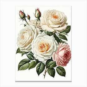 Vintage Galleria Style Rose Art Painting 30 Canvas Print