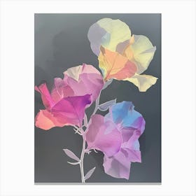 Iridescent Flower Bougainvillea 2 Canvas Print