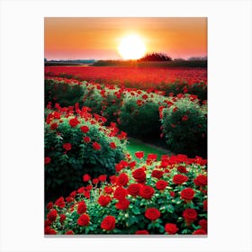 Red Roses At Sunset 1 Canvas Print