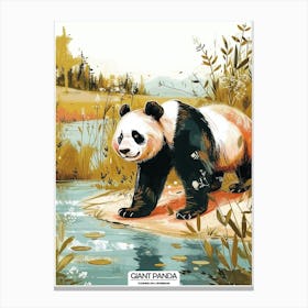 Giant Panda Standing On A River Bank Poster 1 Canvas Print