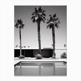 Palm Springs Black And White Analogue Photograph 1 Canvas Print