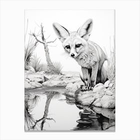Fennec Fox Near A Stream Drawing Canvas Print