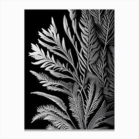 Pine Needle Leaf Linocut 1 Canvas Print