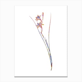 Stained Glass Gladiolus Mosaic Botanical Illustration on White n.0092 Canvas Print