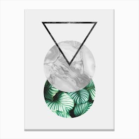 Tropical geometry 1 Canvas Print