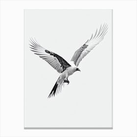 Vulture B&W Pencil Drawing 2 Bird Canvas Print