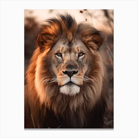 Portrait Of A Lion V1 1 Canvas Print