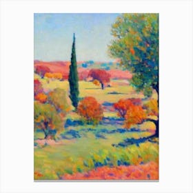 Cork Oak Tree Watercolour Canvas Print