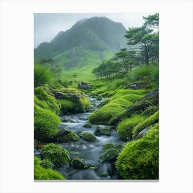 Mossy Stream 1 Canvas Print