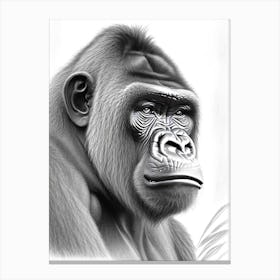 Gorilla With Wondering Face Gorillas Greyscale Sketch 2 Canvas Print