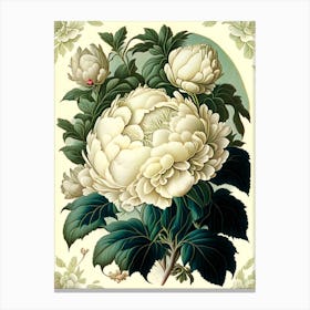 Duchesse De Nemours Peonies Borders Vintage Botanical Canvas Print