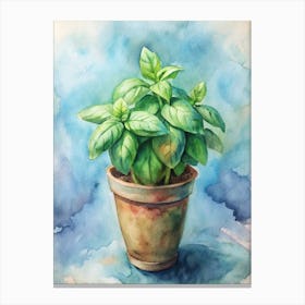 Watercolor Of Basil Canvas Print