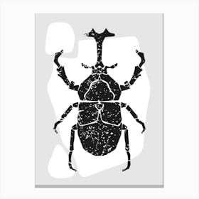 Beetle Canvas Print