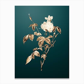 Gold Botanical White Bengal Rose on Dark Teal Canvas Print