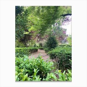 Path In A Garden Canvas Print